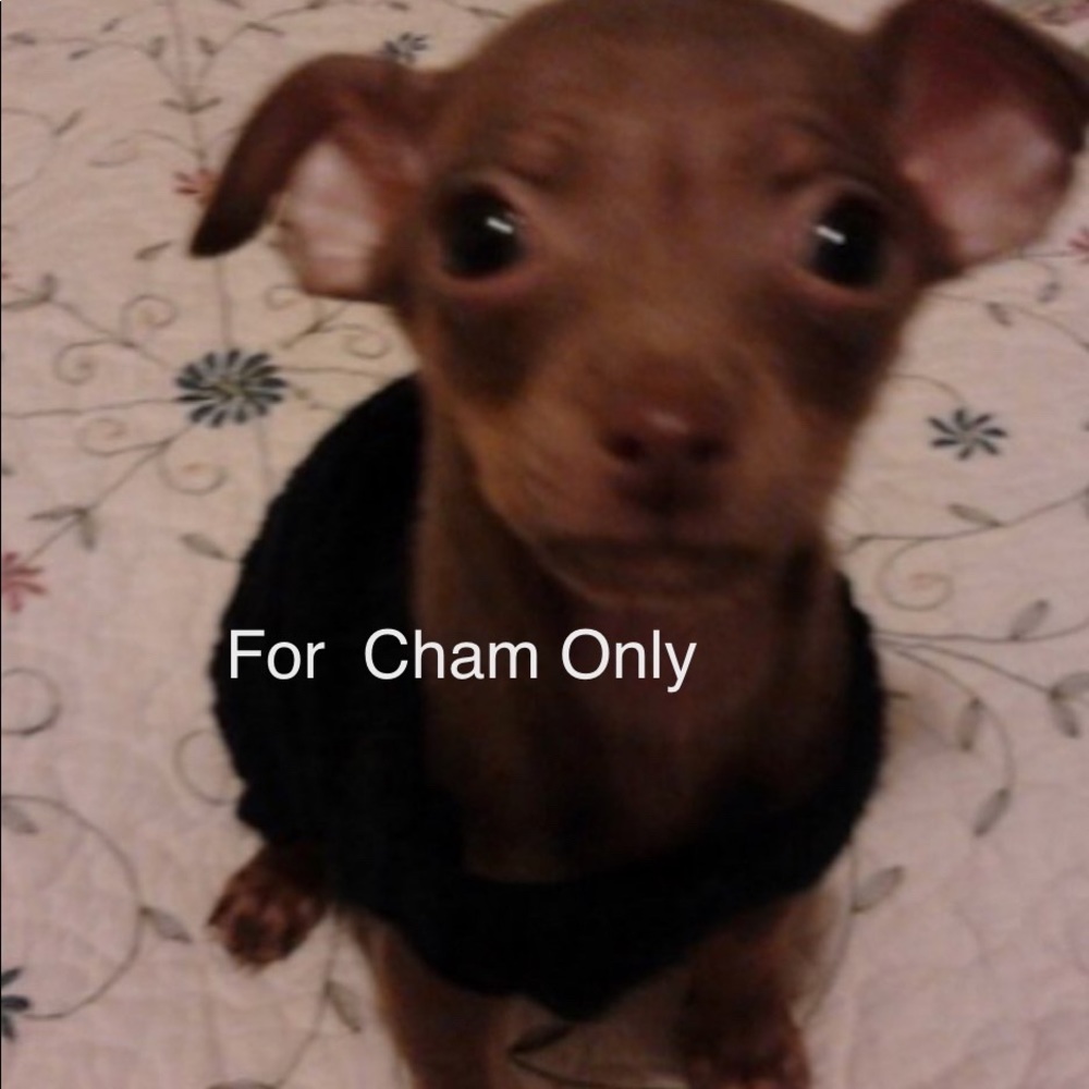 Trade w/Cham